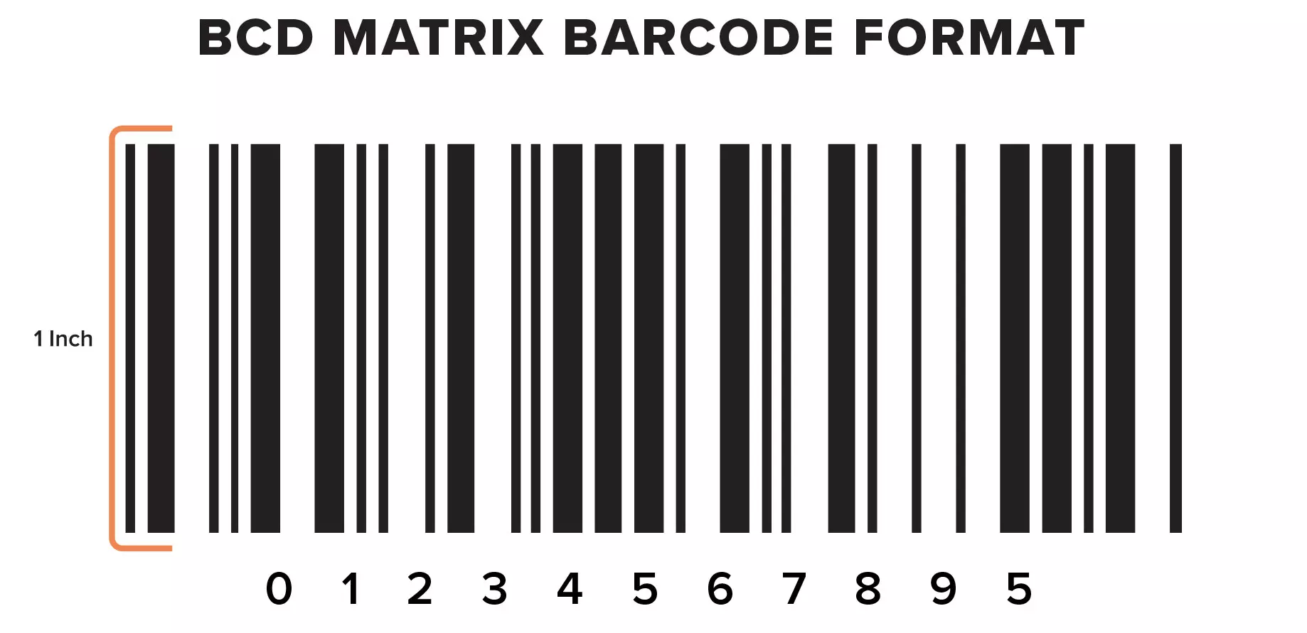 Supported Barcodes | BCD Matrix | Barcode Xpress, image size:1838x891